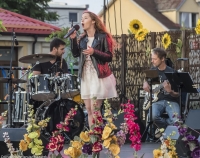 Letni Festiwal pod muralem - "Piosenka łączy pokolenia - Młodzi Siedlcom"