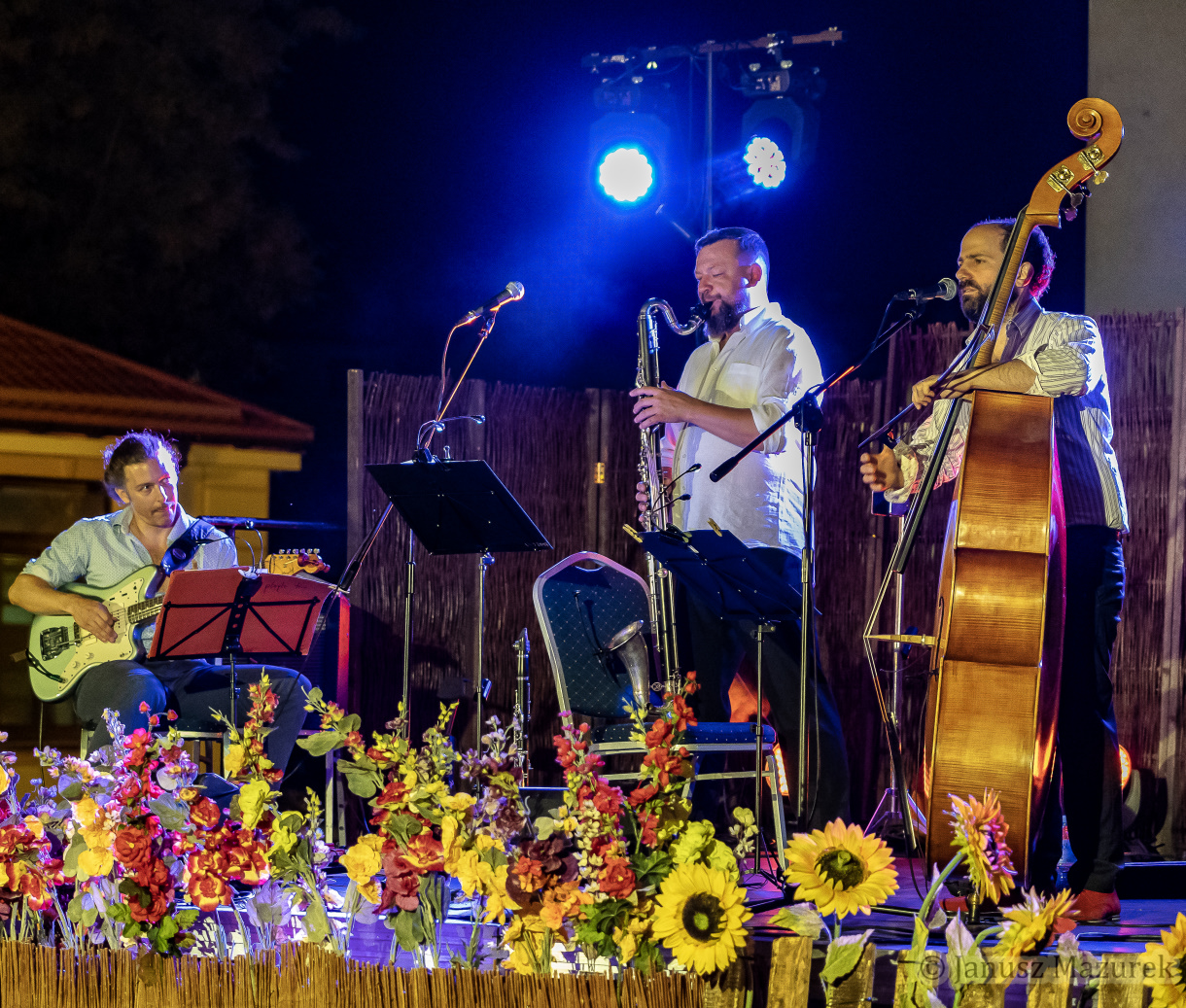 Pleyte Trio - Letni Festiwal pod Muralem