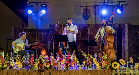Pleyte Trio - Letni Festiwal pod Muralem
