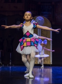Premiera spektaklu "Coppelia"