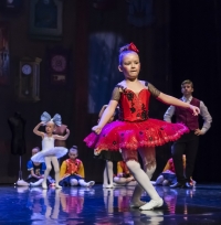 Premiera spektaklu "Coppelia"