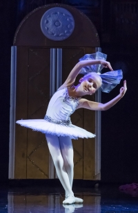 Premiera spektaklu "Coppelia"