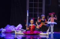 Premiera spektaklu "Coppelia"