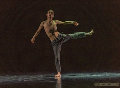 Art in motion