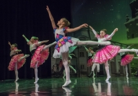Premiera spektaklu "Coppelia"