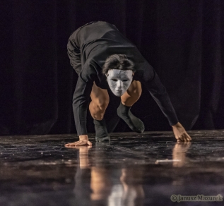 Art in motion