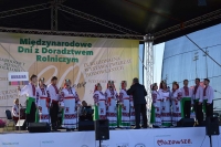 XXI Międzynarodowy Festiwal Pieśni, Tańca i Folkloru na Błoniach Siedleckich