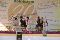 XXI Międzynarodowy Festiwal Pieśni, Tańca i Folkloru na Błoniach Siedleckich