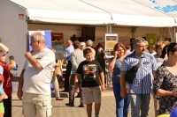 XXI Międzynarodowy Festiwal Pieśni, Tańca i Folkloru na Błoniach Siedleckich