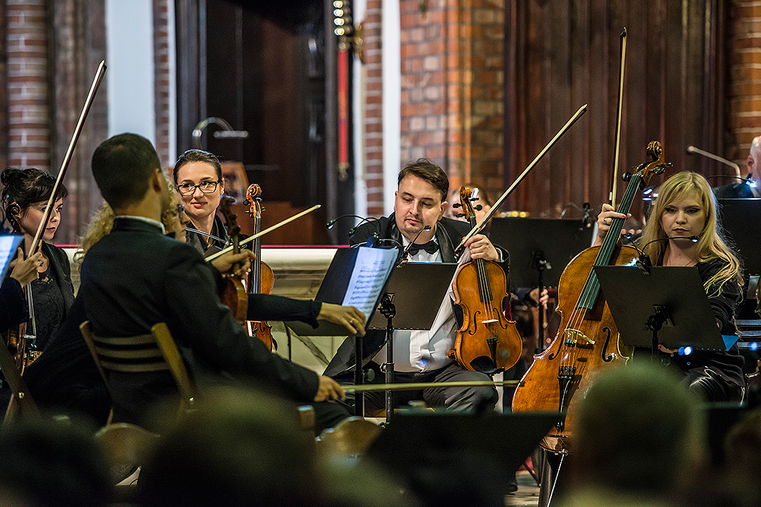 "Magnificat" D - dur Jana Sebastiana Bacha w Katedrze Siedleckiej