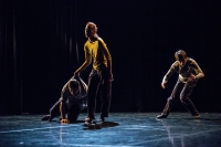 Talent on the Move 2015