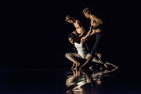 Talent on the Move 2015