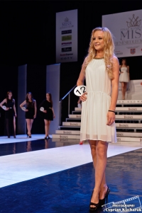 Finał  konkursu Miss Ziemi Siedleckiej 2014