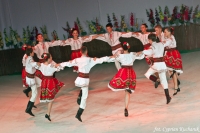XX Międzynarodowy Festiwal Pieśni, Tańca i Folkloru 