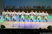 XX Międzynarodowy Festiwal Pieśni, Tańca i Folkloru 