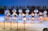 XX Międzynarodowy Festiwal Pieśni, Tańca i Folkloru 